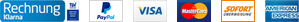 Sofort, Visa, Mastercard, PayPay, American Express, Electron, Laser, Delta, Solo